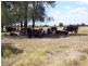 Warrego Highway, Miles QLD 4415