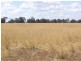 Warrego Highway, Miles QLD 4415