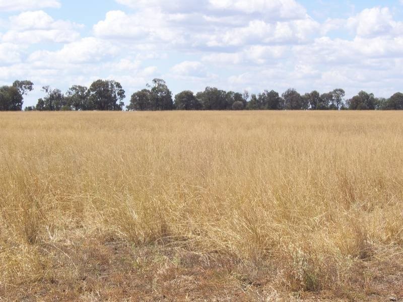 Warrego Highway, Miles QLD 4415