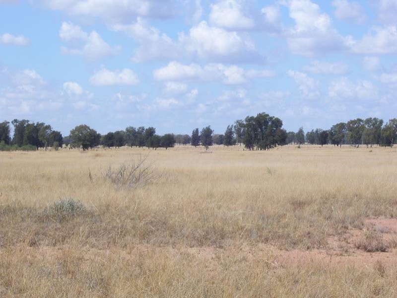 Warrego Highway, Miles QLD 4415