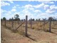 Warrego Highway, Miles QLD 4415