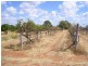 Warrego Highway, Miles QLD 4415