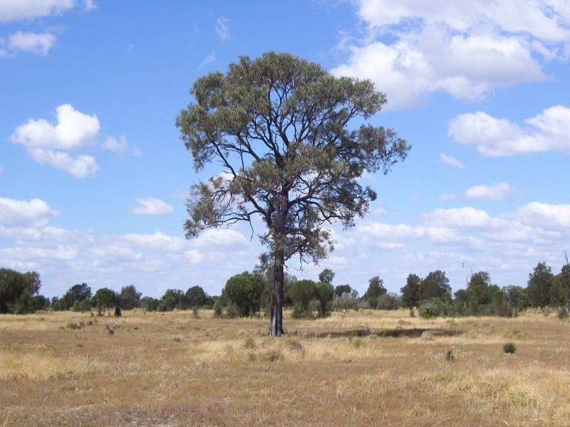 Warrego Highway, Miles QLD 4415