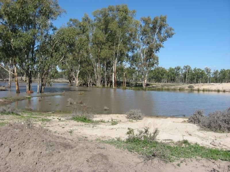 105 Mount Myrtle Road, Miles QLD 4415