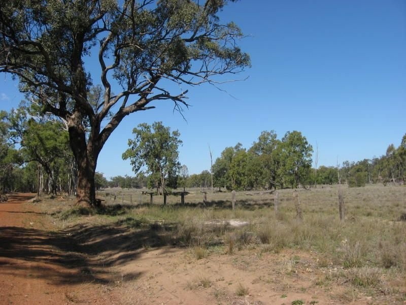 105 Mount Myrtle Road, Miles QLD 4415