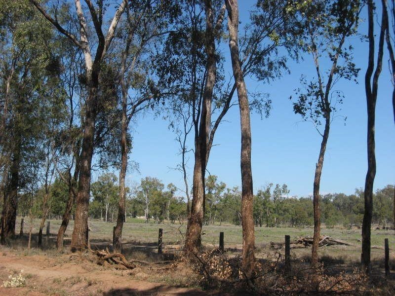 105 Mount Myrtle Road, Miles QLD 4415