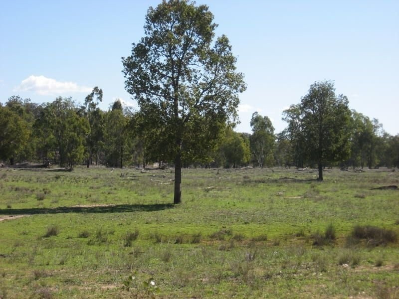 105 Mount Myrtle Road, Miles QLD 4415