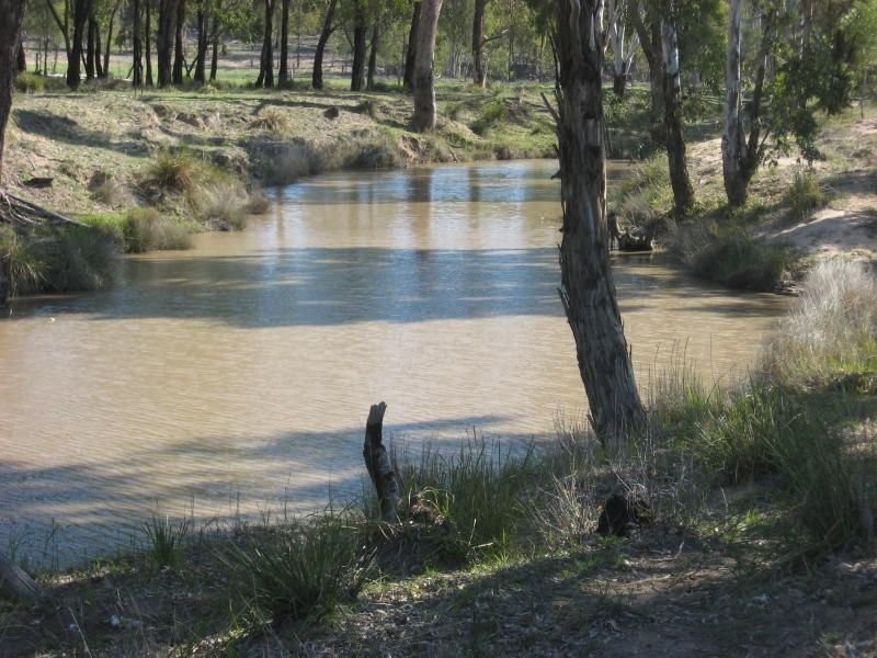 105 Mount Myrtle Road, Miles QLD 4415