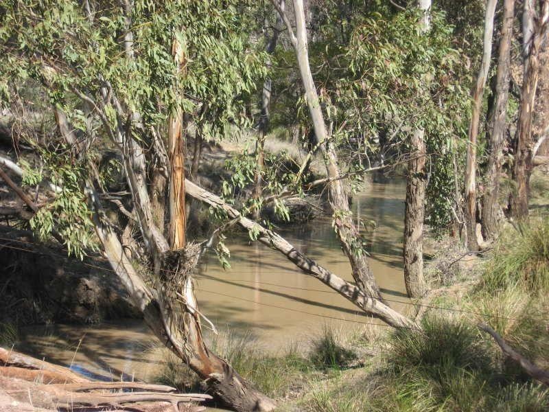 105 Mount Myrtle Road, Miles QLD 4415