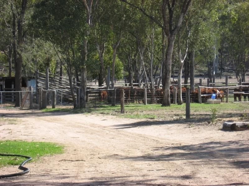 105 Mount Myrtle Road, Miles QLD 4415