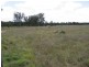 1500 Hookswood Road, Miles QLD 4415
