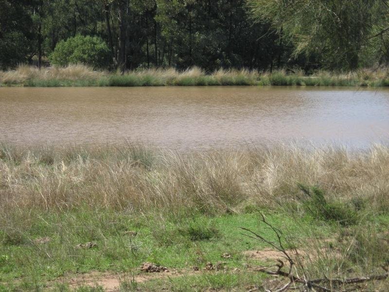 658 Mount Myrtle Road, Miles QLD 4415