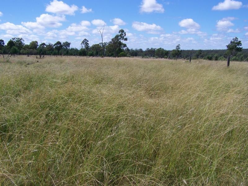 658 Mount Myrtle Road, Miles QLD 4415