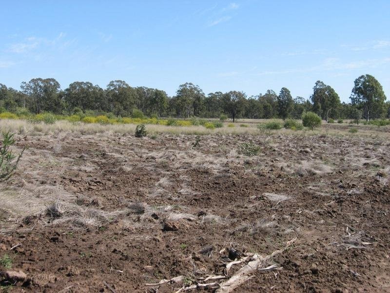 658 Mount Myrtle Road, Miles QLD 4415