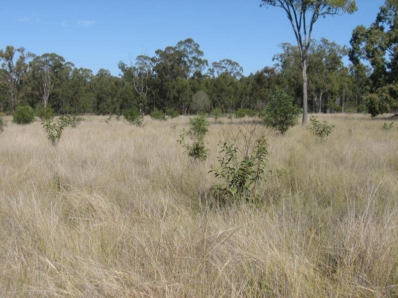 658 Mount Myrtle Road, Miles QLD 4415