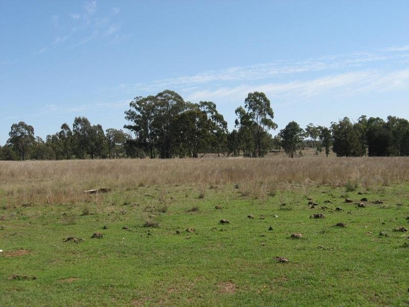 658 Mount Myrtle Road, Miles QLD 4415