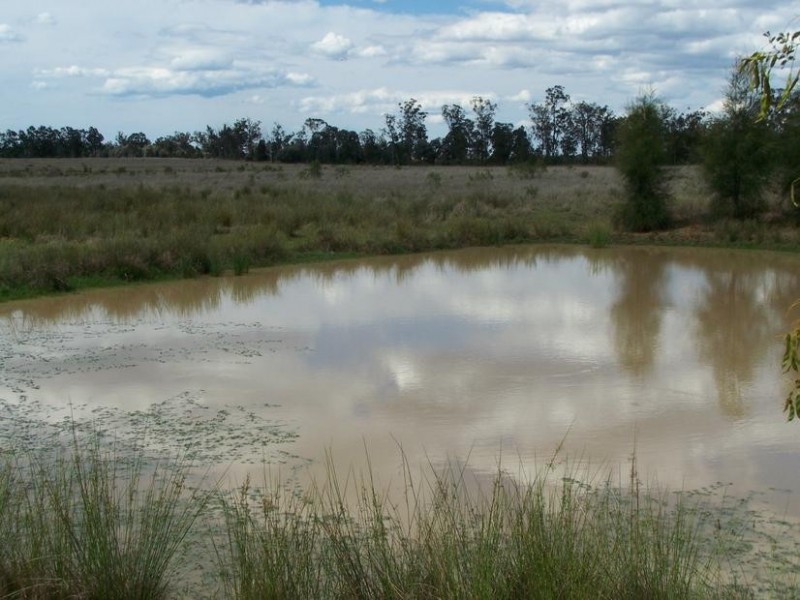 700 Auburn Road, Chinchilla QLD 4413