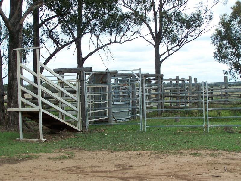 770 Auburn Road, Chinchilla QLD 4413