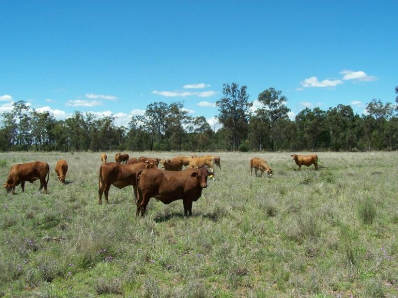 770 Auburn Road, Chinchilla QLD 4413