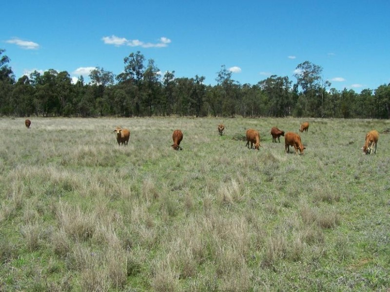 770 Auburn Road, Chinchilla QLD 4413