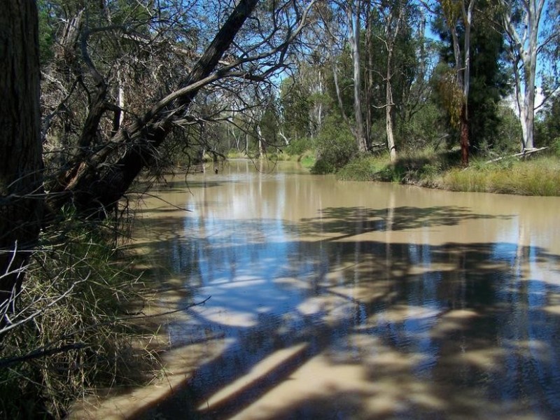 770 Auburn Road, Chinchilla QLD 4413