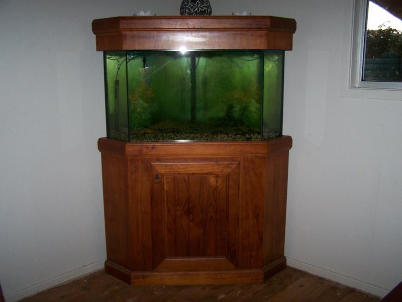 770 Auburn Road, Chinchilla QLD 4413