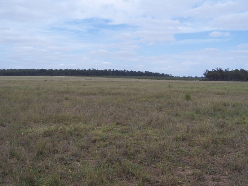 874 BLACKSWAMP ROAD, Chinchilla QLD 4413