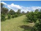 1922 Burra Burri Creek Road, Chinchilla QLD 4413