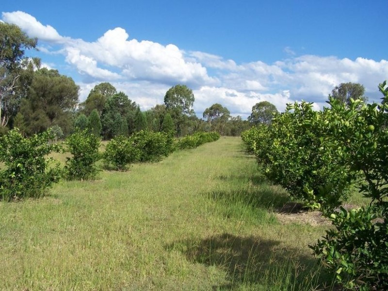 1922 Burra Burri Creek Road, Chinchilla QLD 4413