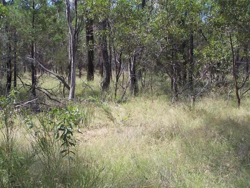 Lot 2,  PADDYS CREEK ROAD, Miles QLD 4415