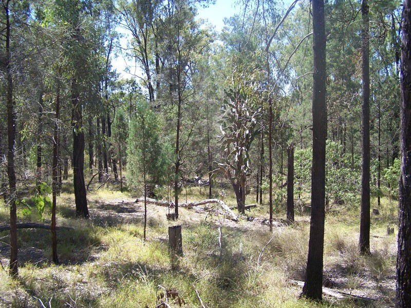 Lot 1, GRAYS ROAD, Chinchilla QLD 4413
