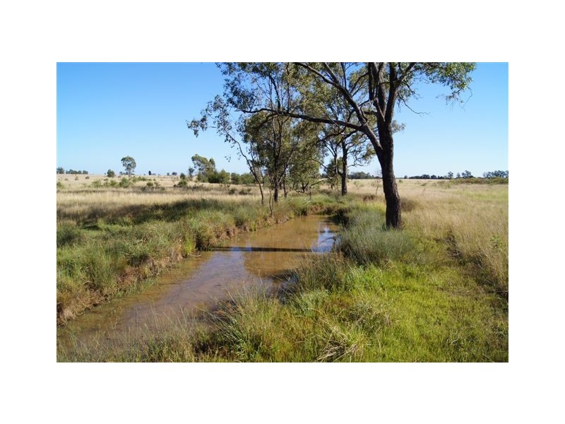 1 Gleesons Road, Chinchilla QLD 4413