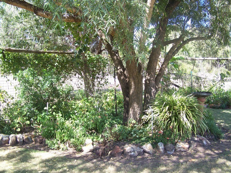 63 KURTZ STREET, Chinchilla QLD 4413