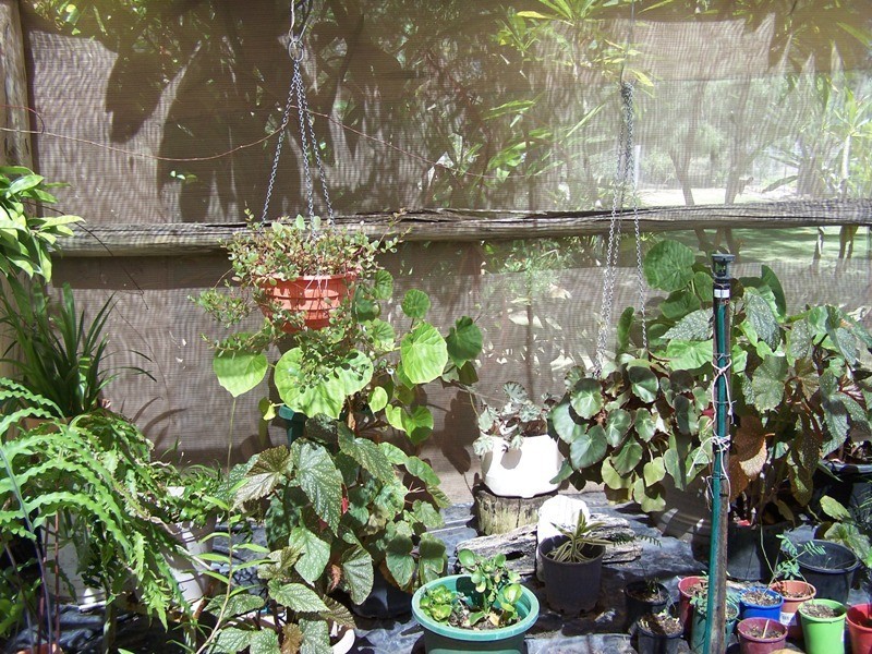 63 KURTZ STREET, Chinchilla QLD 4413