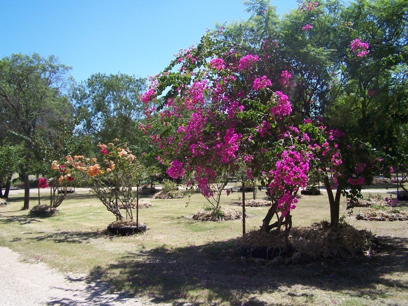 63 KURTZ STREET, Chinchilla QLD 4413