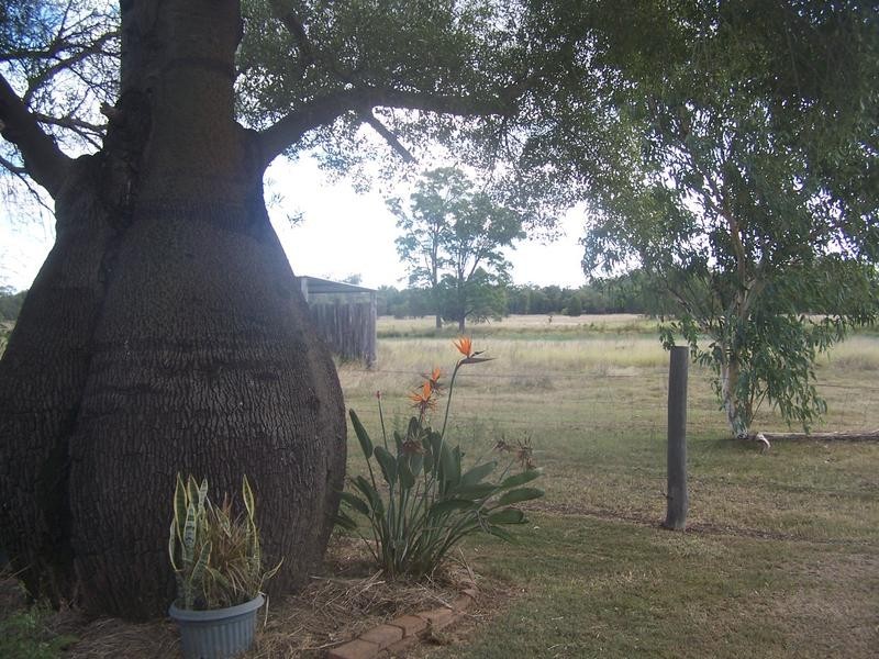 363 Auburn Road, Chinchilla QLD 4413