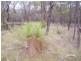 Lot 22, 22 MILKY WAY ROAD, Chinchilla QLD 4413