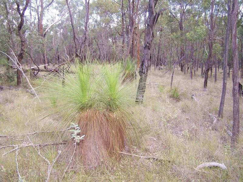 Lot 22, 22 MILKY WAY ROAD, Chinchilla QLD 4413