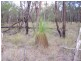 Lot 22, 22 MILKY WAY ROAD, Chinchilla QLD 4413