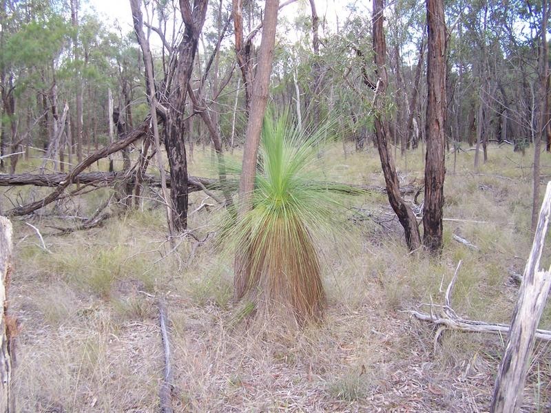 Lot 22, 22 MILKY WAY ROAD, Chinchilla QLD 4413
