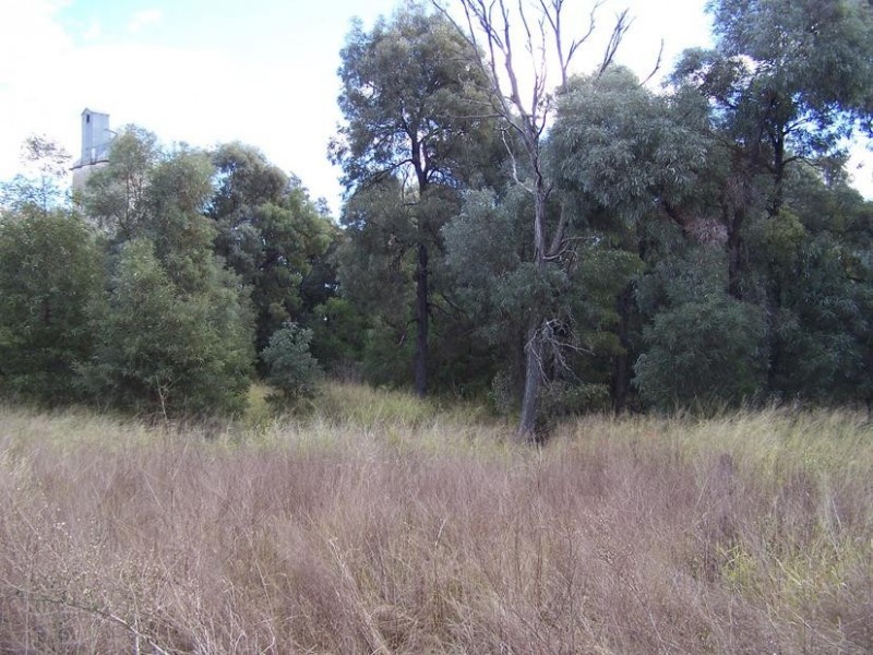 4 MULGA STREET, Brigalow QLD 4412