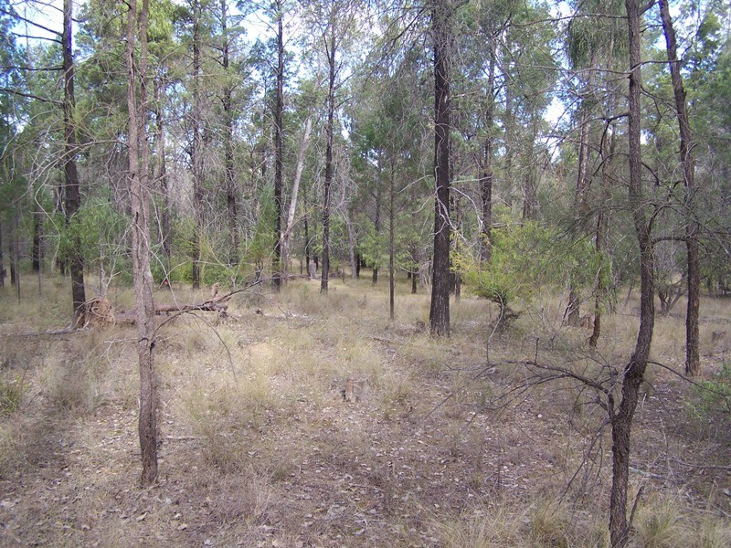 Lot 2, GRAYS ROAD, Chinchilla QLD 4413