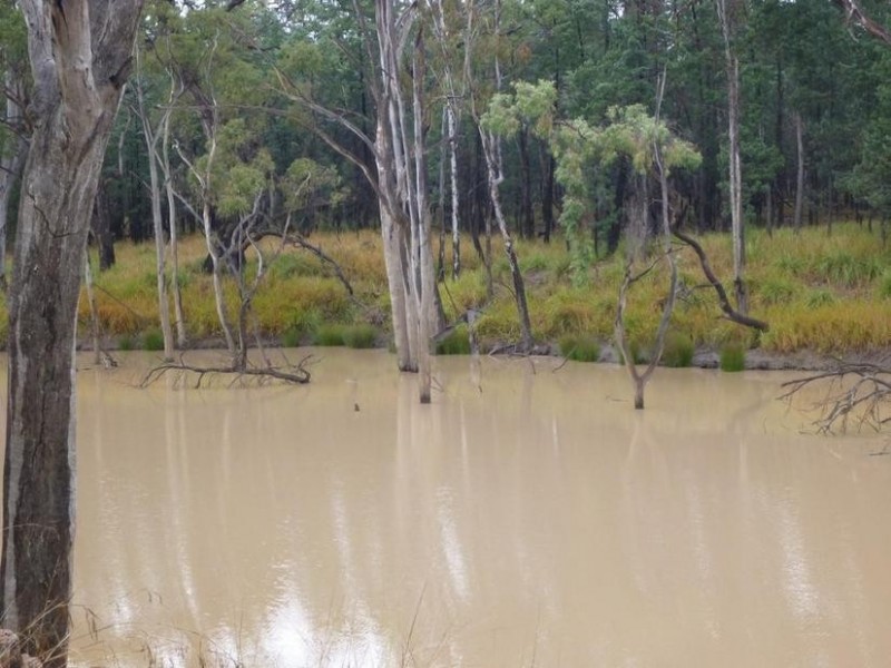 39048 LEICHHARDT HIGHWAY, Miles QLD 4415