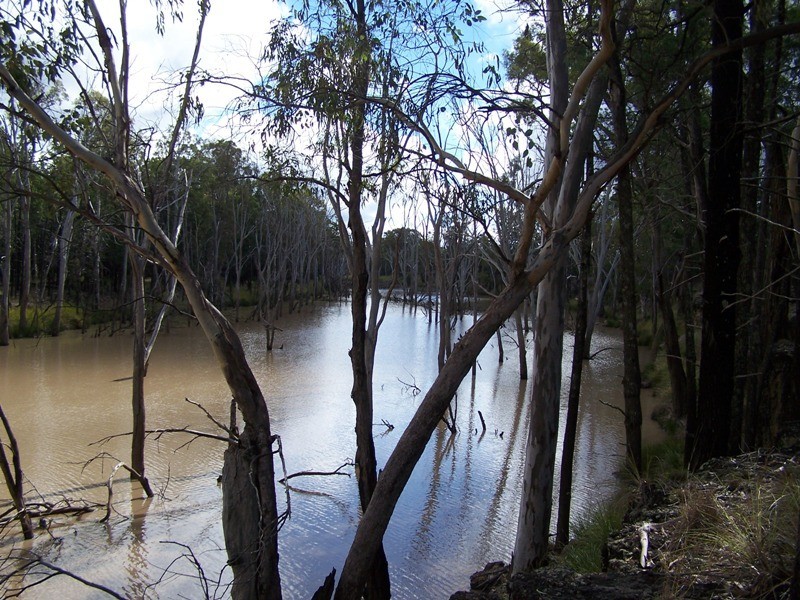 39048 LEICHHARDT HIGHWAY, Miles QLD 4415