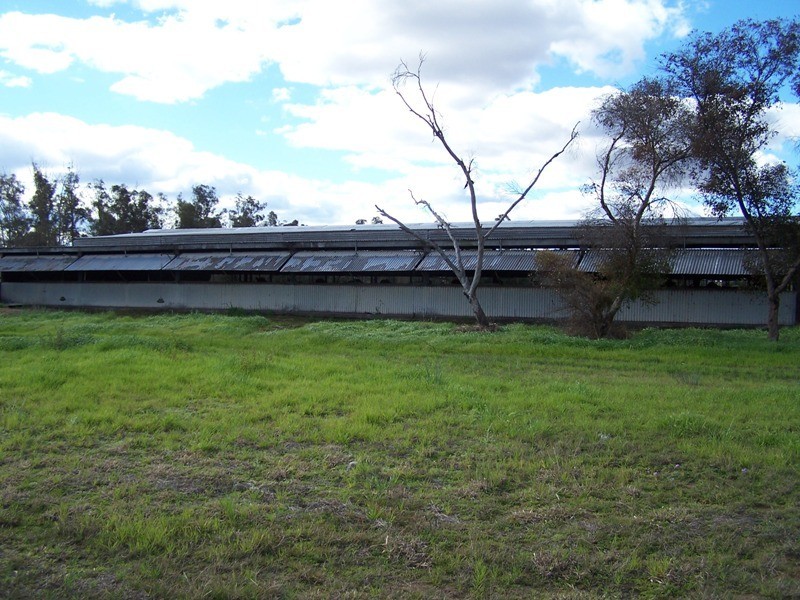 337 LITHGOWS ROAD, Chinchilla QLD 4413