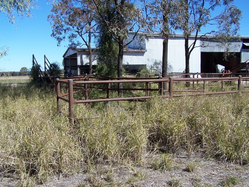 337 LITHGOWS ROAD, Chinchilla QLD 4413