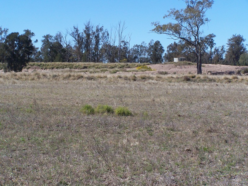 337 LITHGOWS ROAD, Chinchilla QLD 4413
