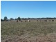 337 LITHGOWS ROAD, Chinchilla QLD 4413