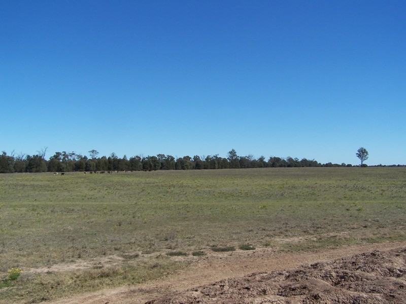 337 LITHGOWS ROAD, Chinchilla QLD 4413