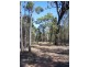 Lot 19,  V BELLS ROAD, Chinchilla QLD 4413